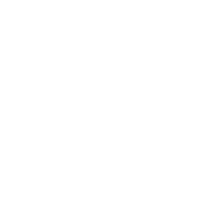 ENDEAVOR