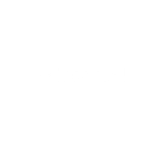 air-capital